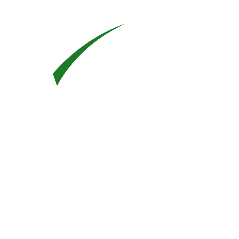 Next Play